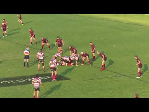 MASTERCLASS! - Will Miller for Northern Suburbs v Southern Districts_Qualifying Final_2017