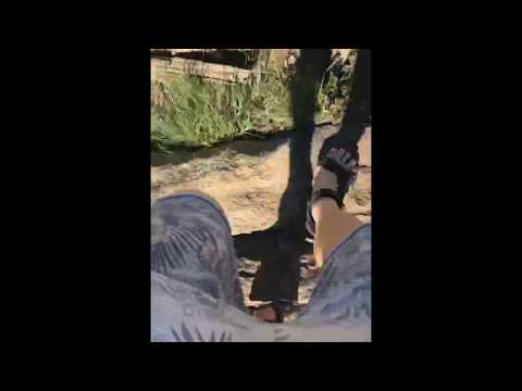download lagu mp3 mp4 Mus Oboz 4, download mp3 Mus Oboz 4 free downloadn, video klip Mus Oboz 4