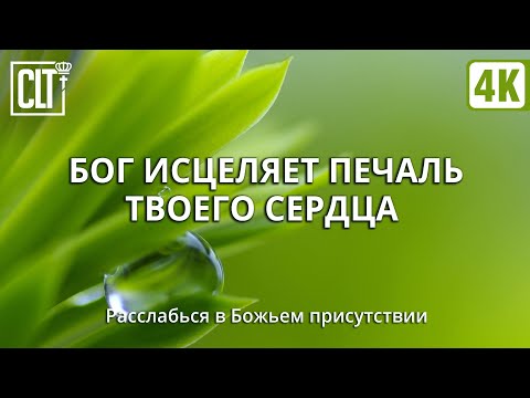 Исцеление ❤️‍???? сердца через принятие Слова | Звук дождя и пение птиц | Смотри тайм-коды | Relaxing