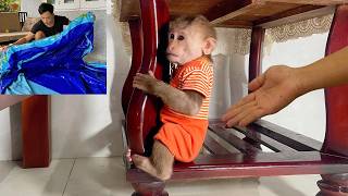 Download lagu Lulu Gets Sulky Watching Dad Take Down Her Pool and Put It Away mp3