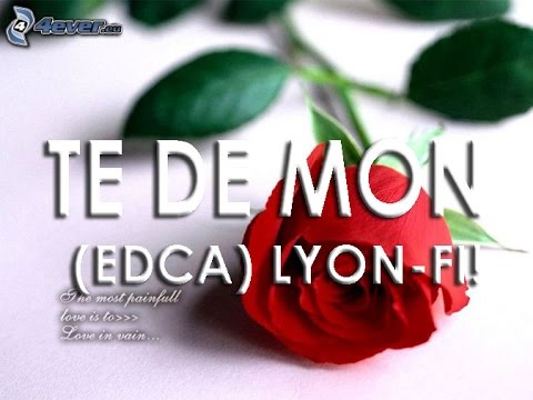 Te de mon - Lyon fi!