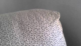 Cockatoo falls off couch. Listen to the other bird.