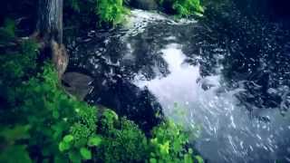 Lisa Hannigan - Ocean and a Rock