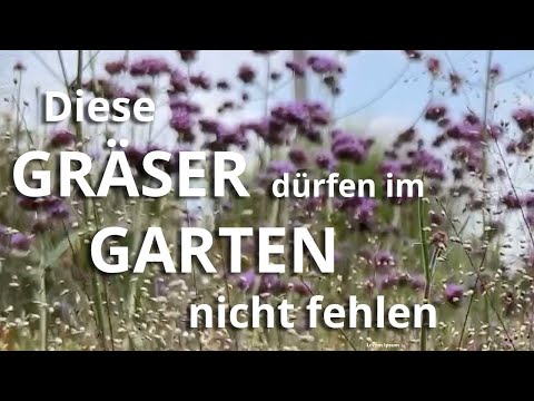 Diese GRÄSER dürfen in deinem Garten nicht fehlen