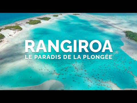 Rangiroa, le paradis de la plongée en Polynésie