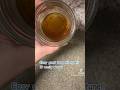 How to get rid of gnats!! This mixture really works! #gnat #fyp #homestead #subscribe #diy #howto