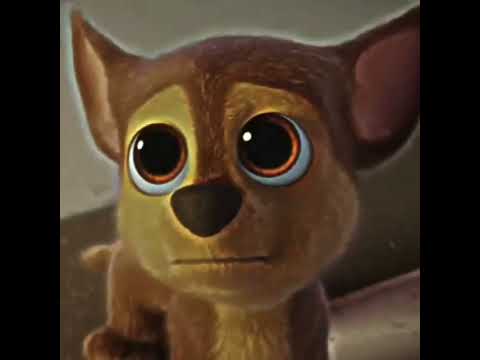 Chase pat patrouille edit !! 💙🐕🚔 #patpatrouille