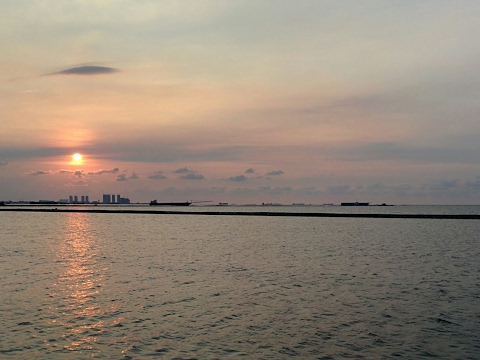 the dire vs. col king's cup live