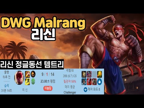 롤 프리시즌 DWG Malrang 리신 정글 동선 정글링 갱 타이밍 리신 템트리 챌린저 관전 리플레이