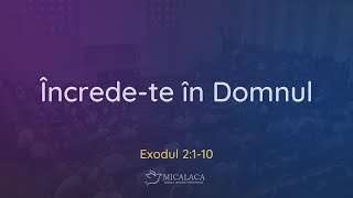 13 August 2023 | Duminică dimineața