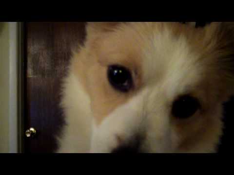 Close up of Chip Youngster during a game of Wii yahtzee