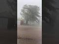 Wind Power & Rain