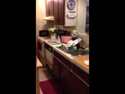 8365 SW 132 Street, Pinecrest FL 33156