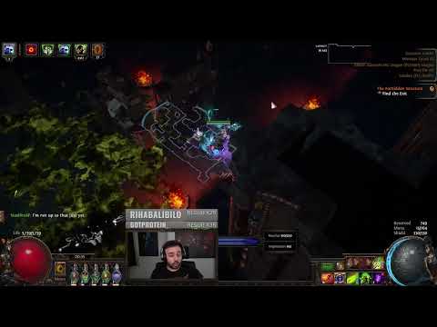 [POE CLIPS] HOW TO CATCH A ZIZARAN | STEELMAGE