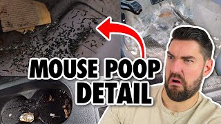 DISGUSTING Mouse Infested Car Detail!