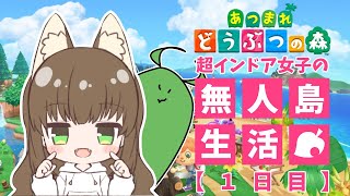 【すみ】超インドア女子のあつまれどうぶつの森【１日目】