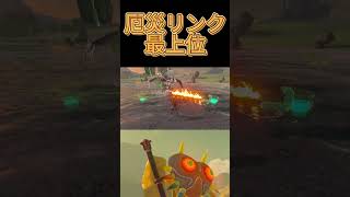 【ティアキン】さすがにひどいよｗ #ゼルダの伝説 #tearsofthekingdom   #zelda