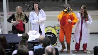 Would you rather be a human gynaecologist or a turkey gynaecologist?