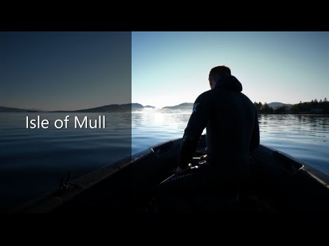Isle of Mull - Scallop Diving - Wildlife