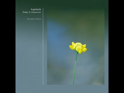 Aspetuck - Sunny Conditions Will Continue For The Rest Of The Day