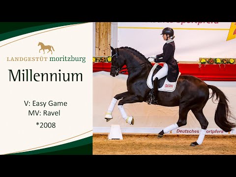 MILLENNIUM v. Easy Game - Ravel 2023