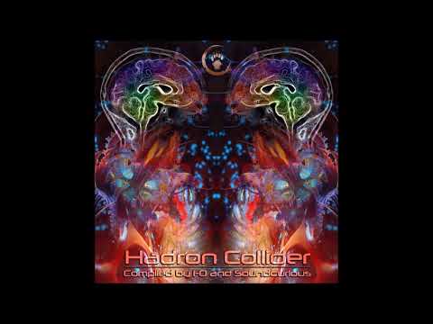 Loose Connection - Biche (Pazru Style Remix) (170 BPM)