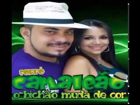Não Vai Não video