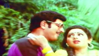 Vennelaina Cheekataina Video Song  Pachani Kapuram