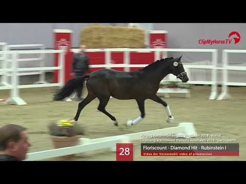 28 Hengst v. Floriscount - Diamond Hit - Rubinstein I