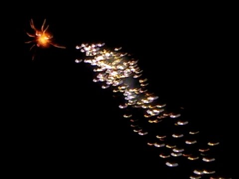 3" manually taped ball shell, Green stars with comet tail