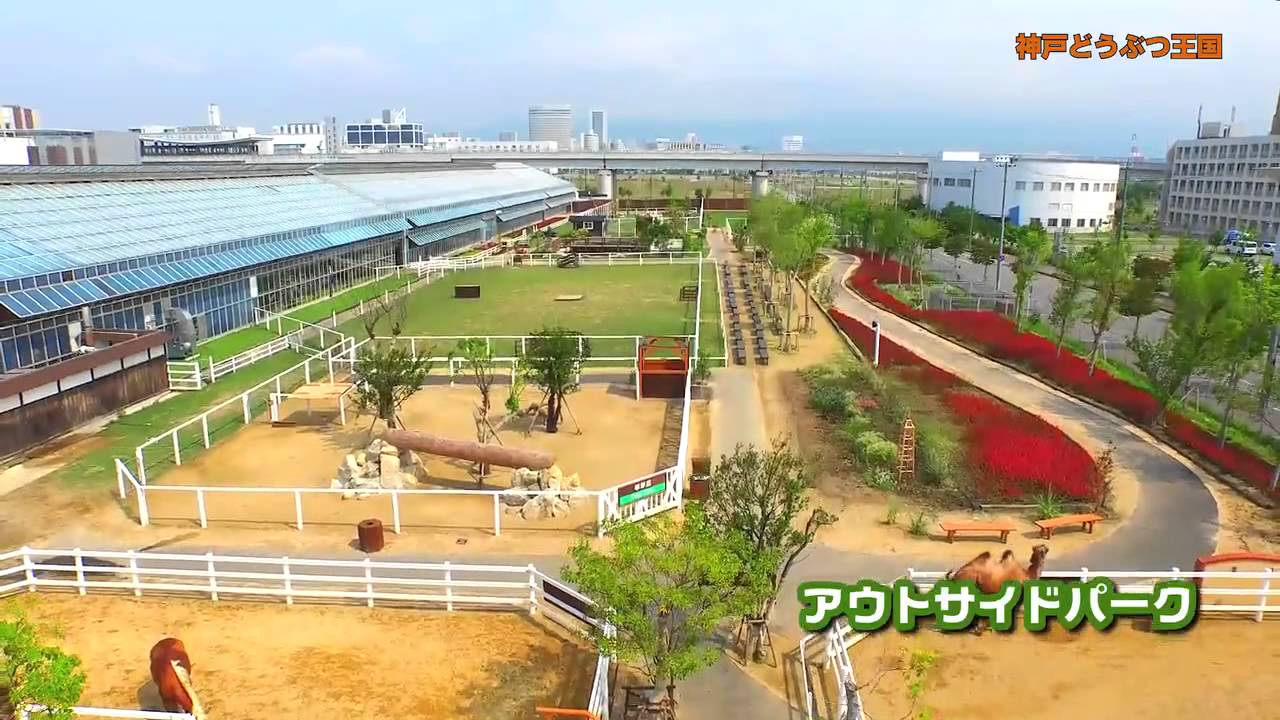 神戸どうぶつ王国