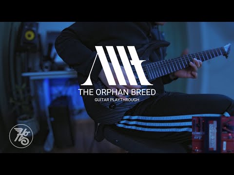 Allt - The Orphan Breed (Guitar Playthrough by Viktor Florman)