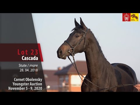 Cornet Obolensky Youngster Auction - Lot 23  Cascada - mare by Cornet Obolensky - Pilot