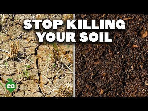 Boost Soil Health: 9 Proven Strategies for Thriving Gardens