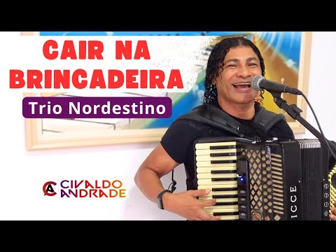 Cair Na Brincadeira - Trio Nordestino