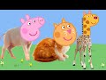 Real Life Animals With Peppa Pig Heads