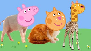Download lagu Real life animals with Peppa Pig heads mp3
