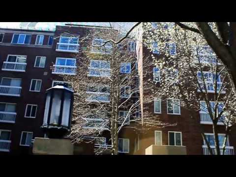 Bay Square Condos - Cambridge, MA