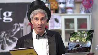 The 31st First Annual Ig Nobel Prize Ceremony 2021 (Refuniculared) video