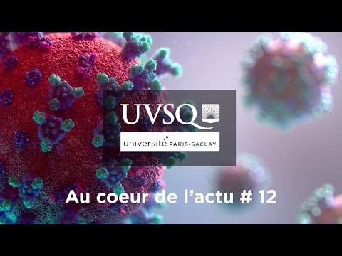 Comprendre l'odorat et l'intérêt de parfumer les gels hydroalcooliques