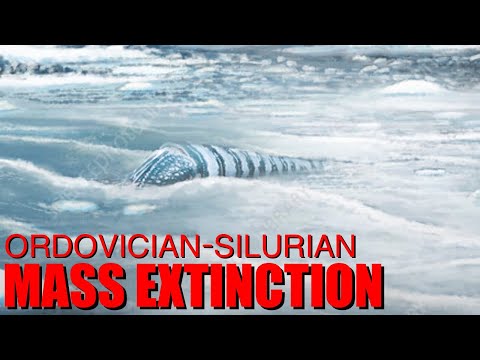 The CHILLING TALE of the Ordovician-Silurian Mass Extinction (The Great Dyings Part One)