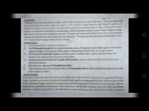 STRUCTURE OF HEART OF FROG BY PHANINDRA GUPTA