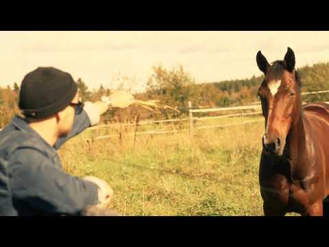 Johan Alander - Punkt