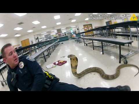 Police vs Wild Animals | Bodycam Captures Everything