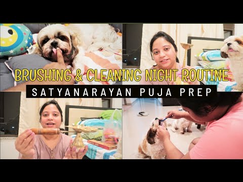 Brushing and cleaning night routine of my puppies | Pooja utensils that we shopped | Night routine Video
