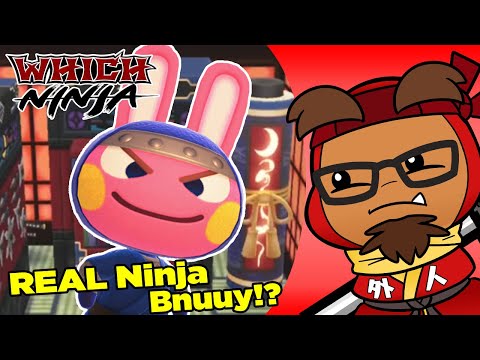 How "Ninja" is Snake from Animal Crossing!? - Which Ninja