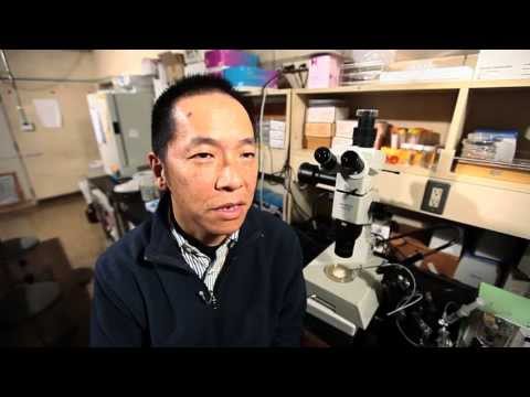 海洋電子機械工学科 東京海洋大学Scientist Profile 吉崎悟朗