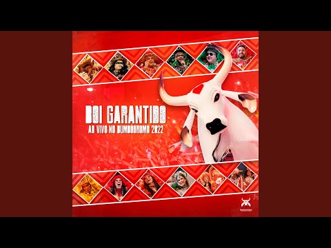 Revolução das Cunhãs