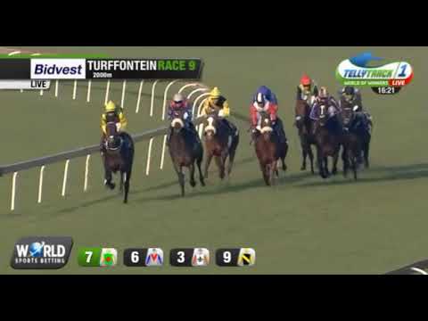 DEO JUVENTE - 2017 THE PREMIER'S CHAMPIONS CHALLENGE (Grade 1)