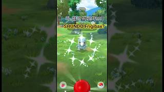 Frigibax Community Day! 백로치 드니차? 드니차 커뮤니티데이! #shorts #pokemon #shiny #쇼츠 #포켓몬 #이로치 #백로치